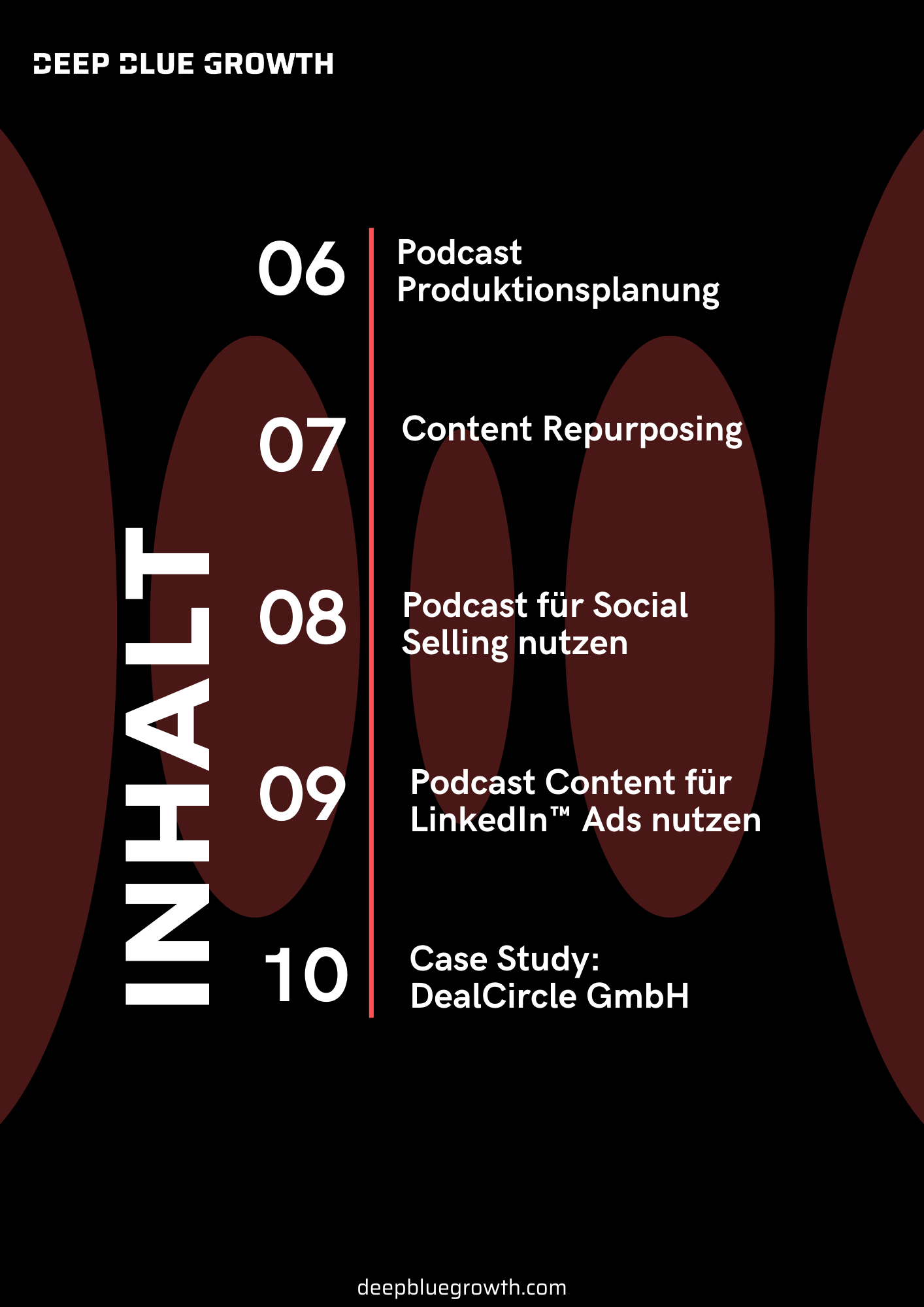 _E-Book I So startest du deinen Podcast - Podcast Guide für B2B Brands 2024 (1)